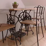 Drevenica Country house *