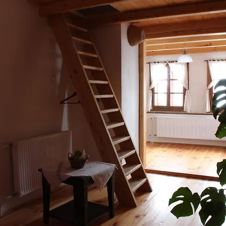 Drevenica Country house *