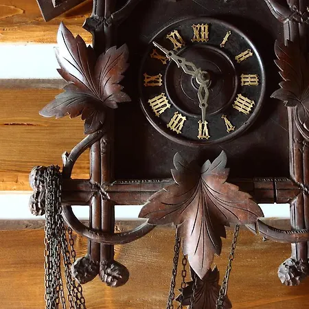 Drevenica 乡村民宿 *