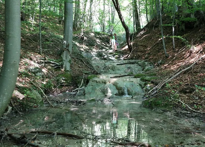 Drevenica Šumiac